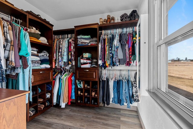 walk in closet featuring wood finished floors