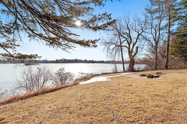 view of yard featuring a water view