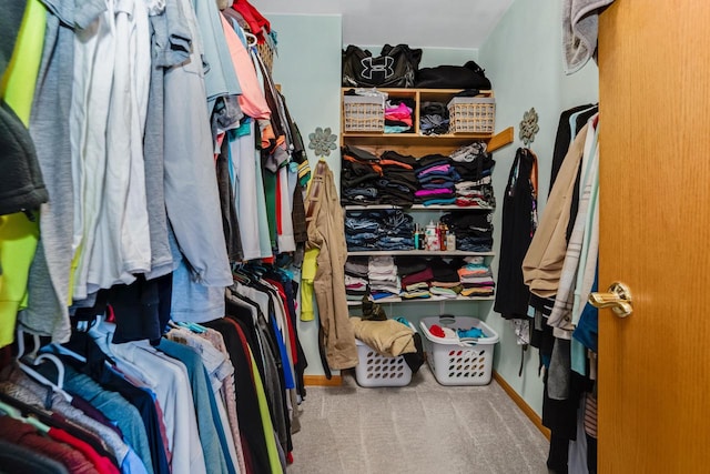 spacious closet featuring carpet flooring