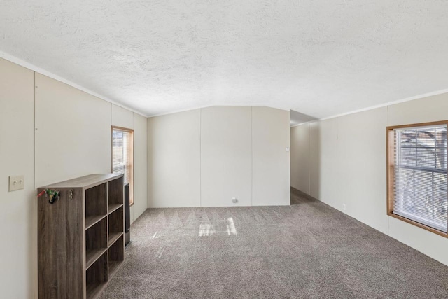 interior space with carpet floors, a textured ceiling, and vaulted ceiling