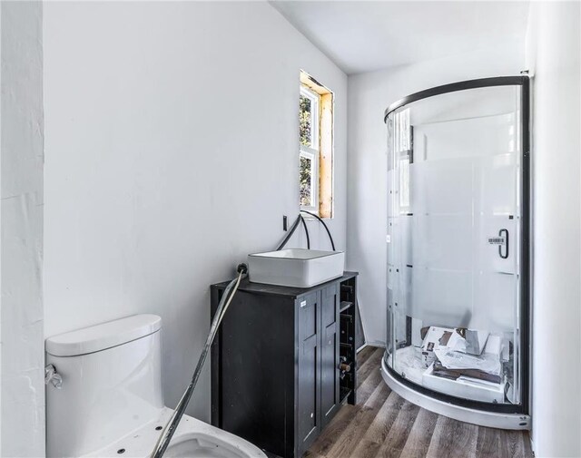 S10460 Black Creek Rd, Fairchild, WI 54741 - bathroom with a stall shower, toilet, wood finished floors, and vanity