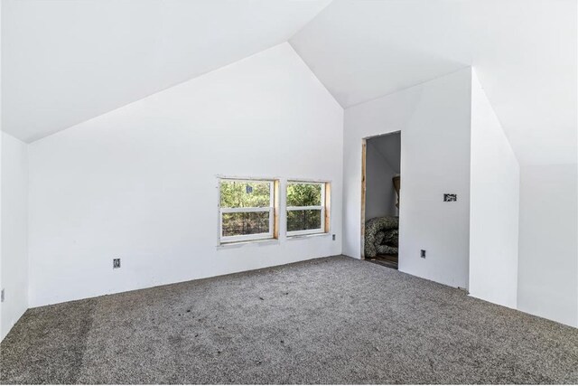 S10460 Black Creek Rd, Fairchild, WI 54741 - additional living space with lofted ceiling and carpet flooring