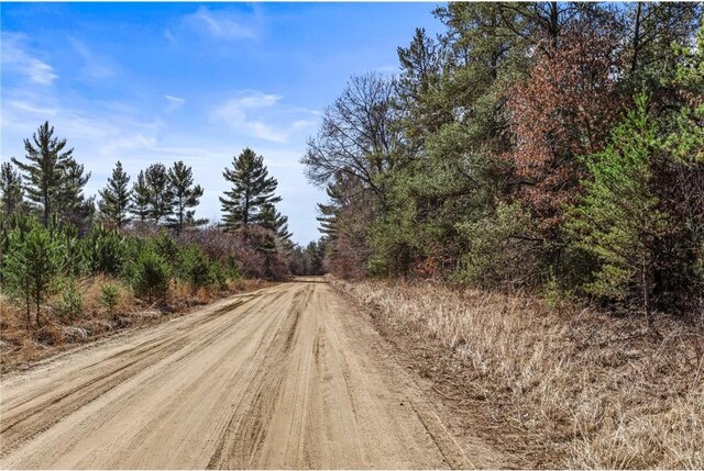 S10460 Black Creek Rd, Fairchild, WI 54741 - view of street