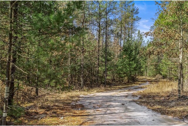 S10460 Black Creek Rd, Fairchild, WI 54741 - view of street with a forest view