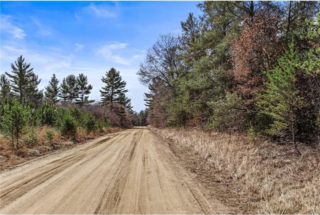 S10460 Black Creek Rd, Fairchild, WI 54741 - view of road