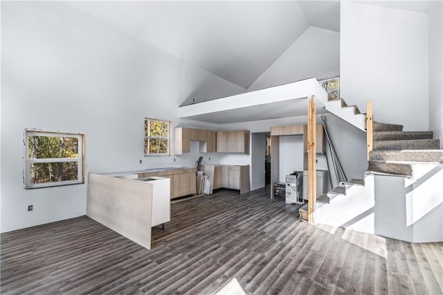 kitchen featuring high vaulted ceiling, modern cabinets, dark wood finished floors, and light brown cabinets