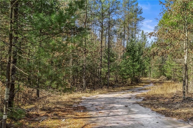 view of street featuring a wooded view