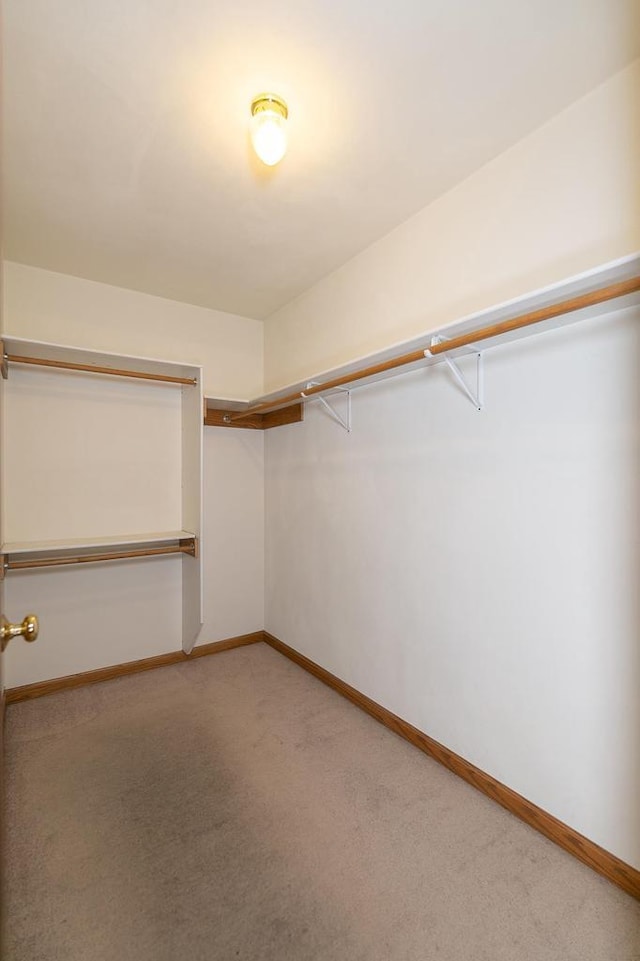 walk in closet featuring light colored carpet