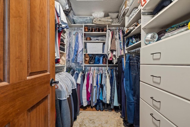 view of spacious closet