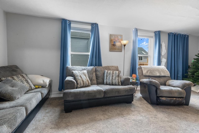 living area featuring carpet floors