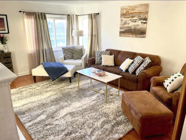 living area with wood finished floors