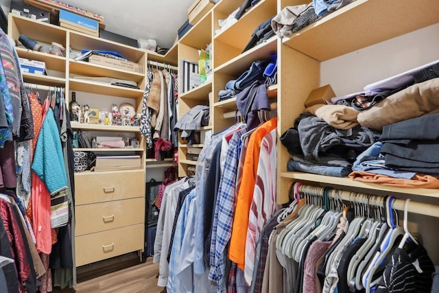 walk in closet featuring wood finished floors