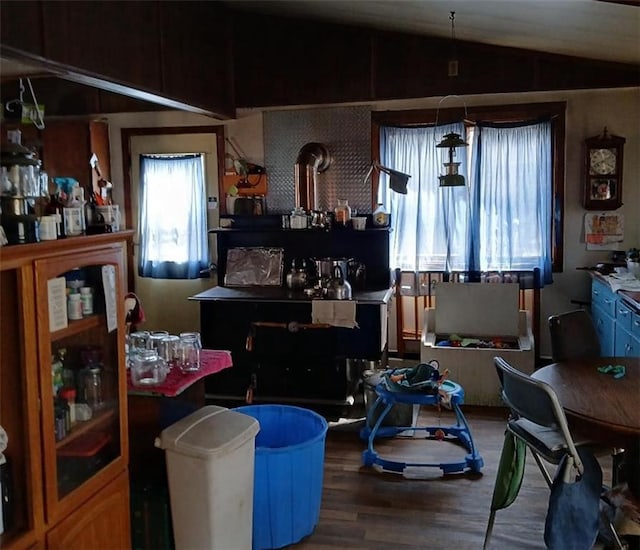 interior space featuring lofted ceiling and wood finished floors