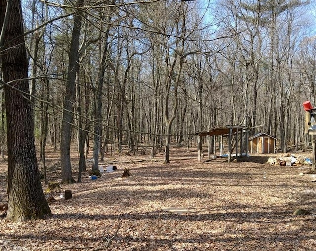 view of yard with an outdoor structure