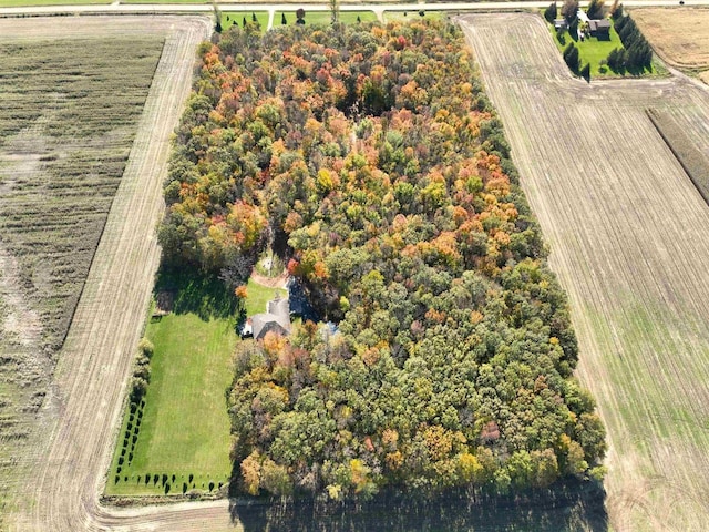 birds eye view of property featuring a rural view