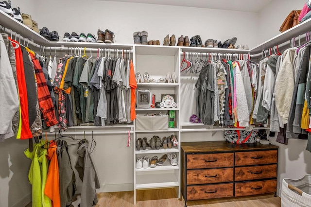 655 Sunset Grn, Bay, WI 54313 - walk in closet featuring wood finished floors