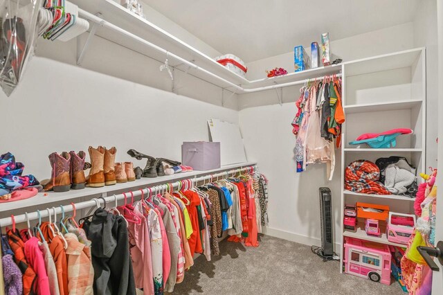 655 Sunset Grn, Bay, WI 54313 - walk in closet with carpet flooring