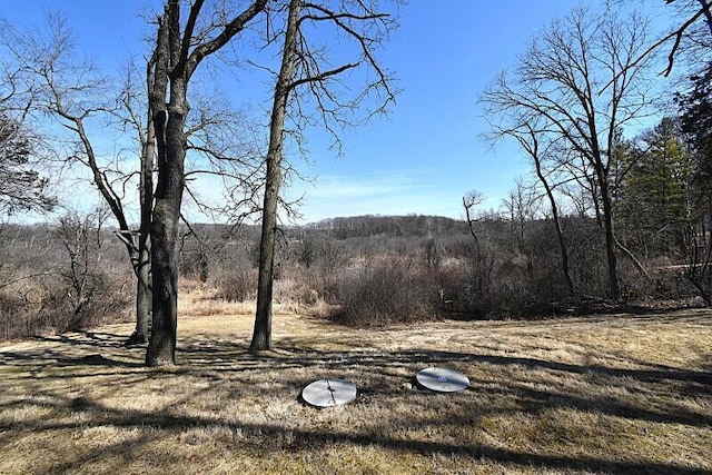 view of yard featuring a view of trees