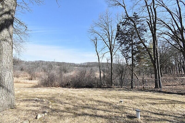 view of local wilderness