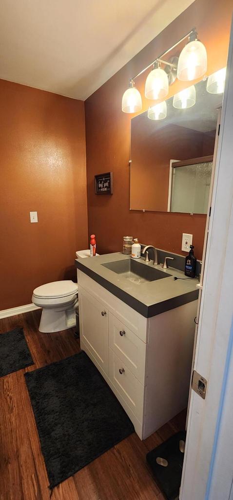 bathroom featuring vanity, toilet, and wood finished floors