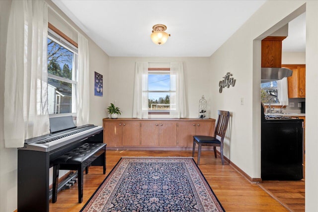 sitting room featuring light wood-style flooring, baseboards, and a wealth of natural light