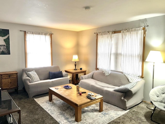 living area with carpet floors