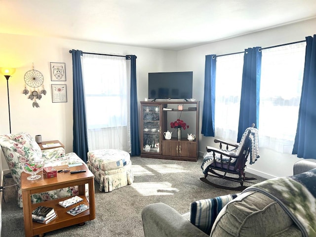 living area featuring carpet flooring