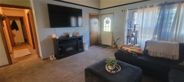 carpeted living room featuring visible vents