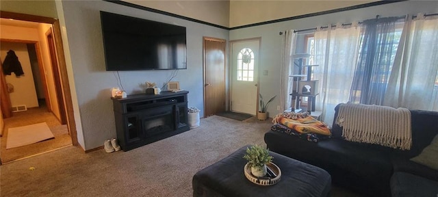 living room with carpet flooring and visible vents