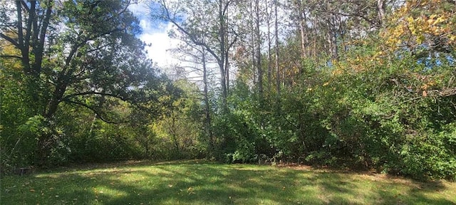 view of local wilderness with a view of trees