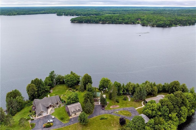 bird's eye view with a water view and a view of trees