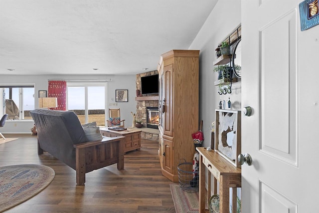 living area featuring dark wood-type flooring and a fireplace