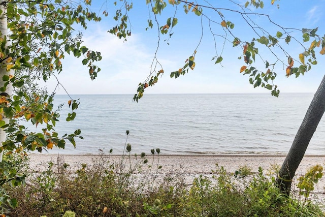 view of water feature with a beach view