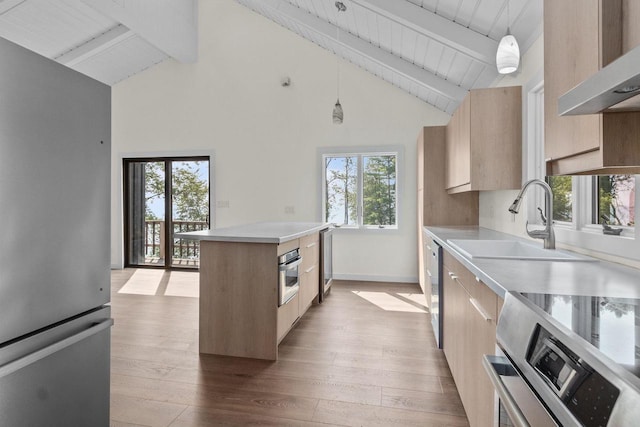 kitchen featuring light brown cabinetry, appliances with stainless steel finishes, modern cabinets, and a sink