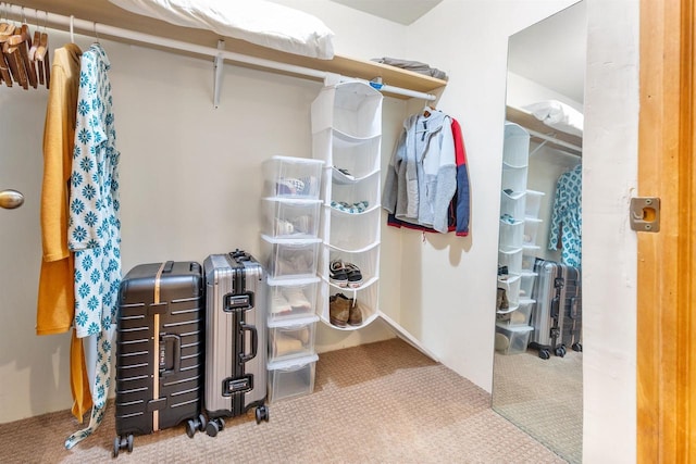 spacious closet featuring carpet flooring