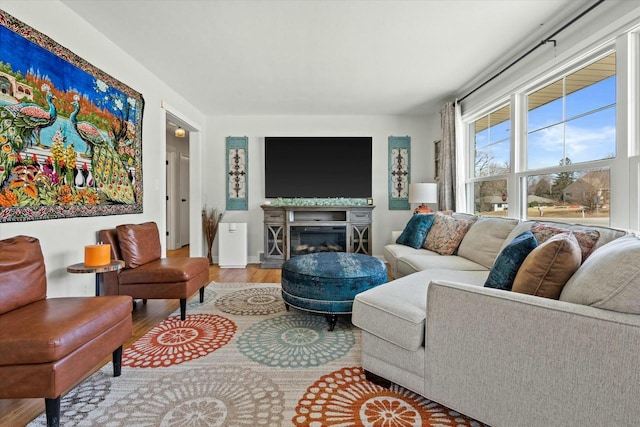 living room with a glass covered fireplace and wood finished floors