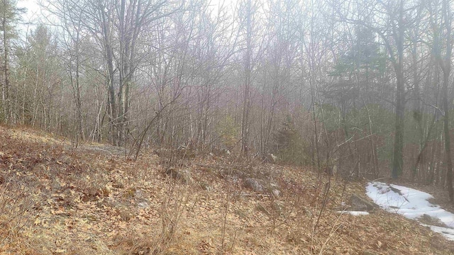 view of nature featuring a forest view