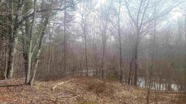 view of local wilderness with a wooded view