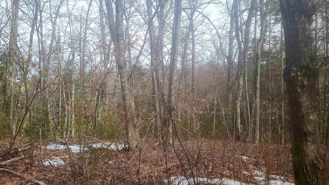 view of nature with a view of trees