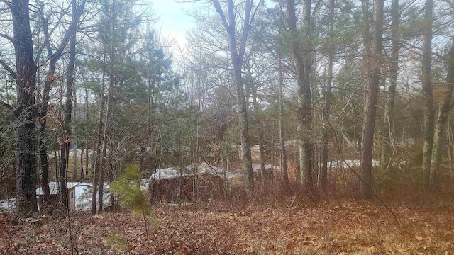 view of landscape featuring a view of trees