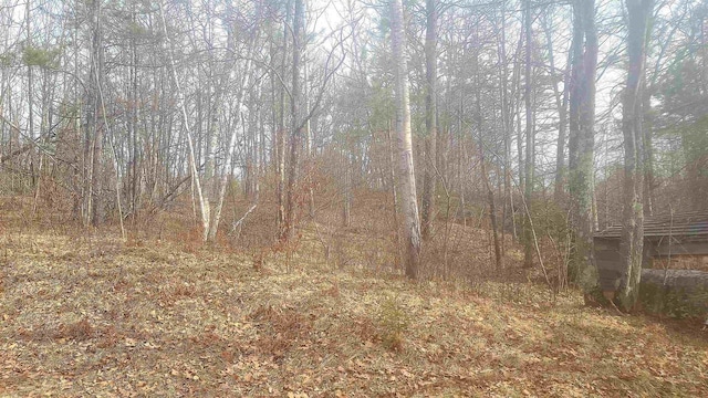 view of landscape with a forest view