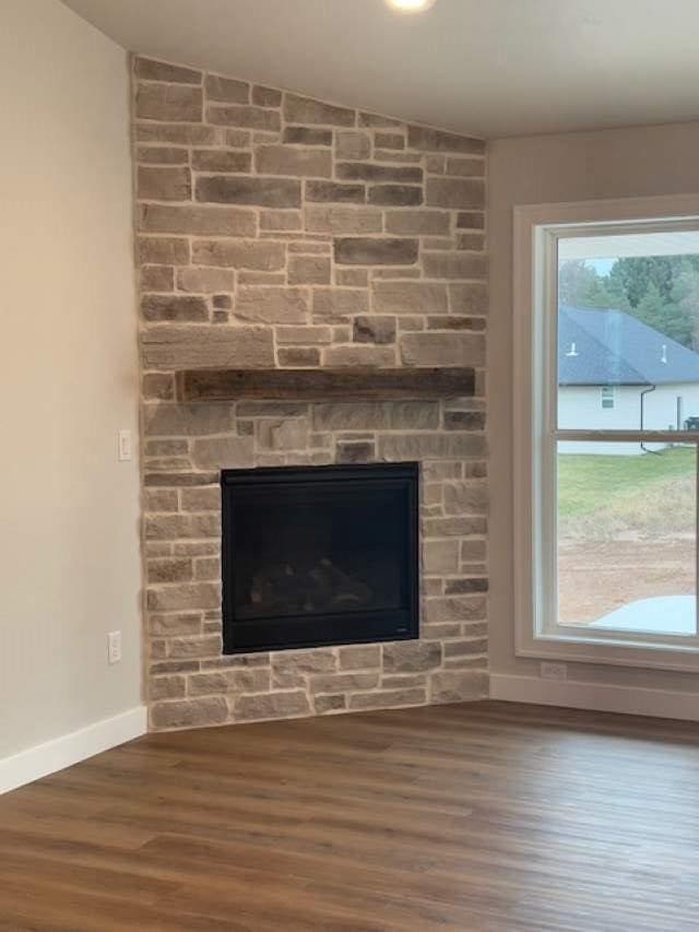 details featuring wood finished floors, a fireplace, and baseboards