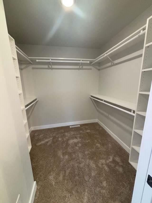 spacious closet featuring carpet flooring