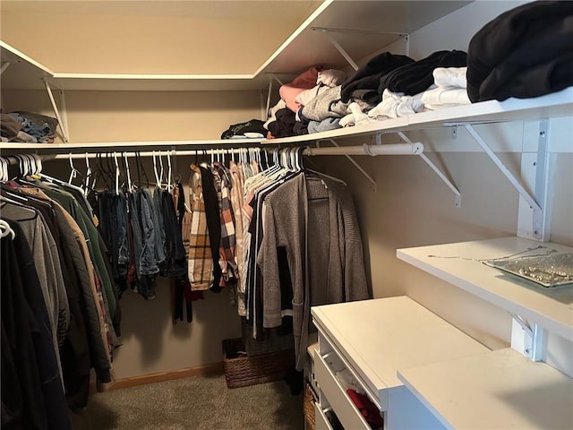 spacious closet featuring carpet floors