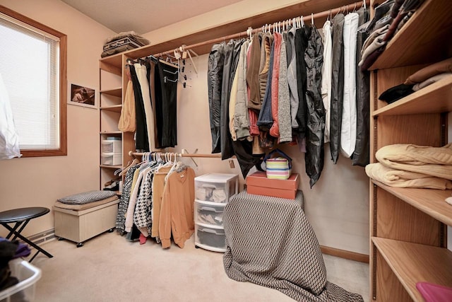 spacious closet featuring carpet flooring