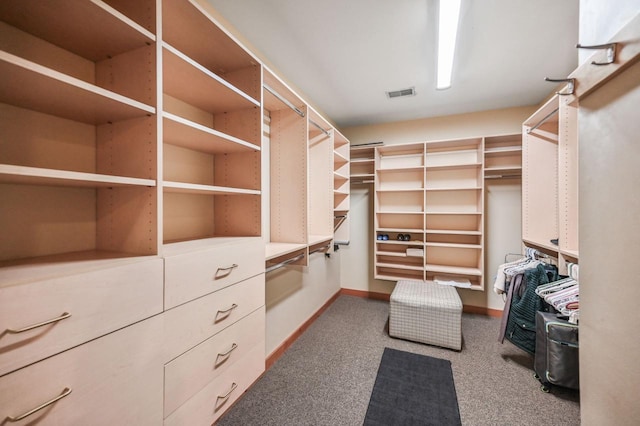 spacious closet featuring carpet flooring and visible vents