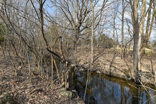 view of local wilderness