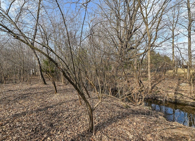 view of local wilderness