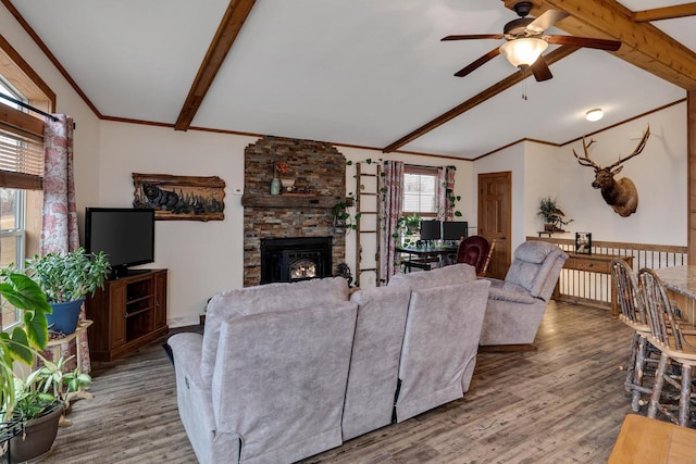 living room with wood finished floors, a healthy amount of sunlight, and ceiling fan