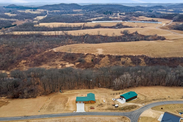 drone / aerial view featuring a mountain view